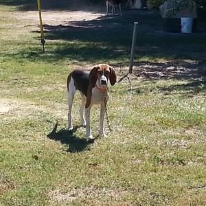 Meet your Posher, Allen